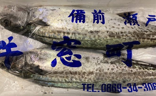 瀬戸内の魚でつくる 干物 6枚入りBOX [№5735-1939]