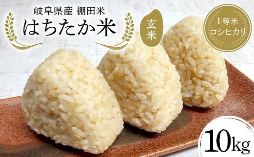 y򕌌Ðsz򕌌Y Ic 1ăRVqJ ͂ 10kgi5kg×2܁j F4N-2629