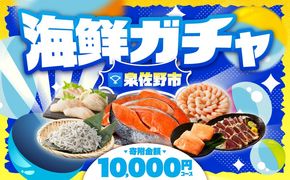 gacha015 【期間限定】泉佐野 海鮮ガチャ（寄附10,000円コース）【海鮮 えび 鮭 サーモン しらす 刺身 普段使い お楽しみ 翌月以降】