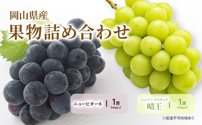 ぶどう 2026年 先行予約 詰合/ニューピオーネ 1房(480g以上)・シャインマスカット晴王 1房(480g以上) 化粧箱入り ブドウ 葡萄 岡山県産 国産 フルーツ 果物 ギフト 