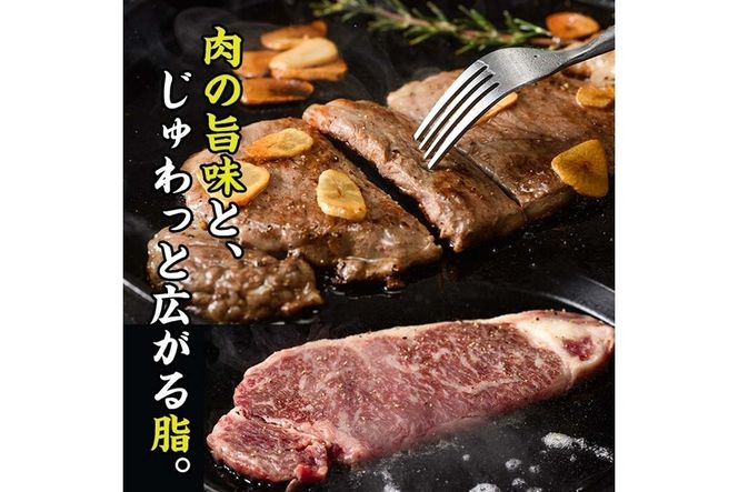 おおいた 和牛 サーロイン ステーキ (計720g・180g×4枚) 国産 豊後牛 BBQ バーベキュー 惣菜 やきにく おかず 百年の恵み 大分県 佐伯市【BD194】【西日本畜産 (株)】