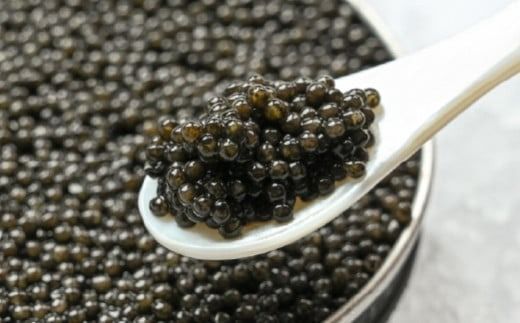 【国際線ファーストクラス採用】宮崎キャビア1983 100g