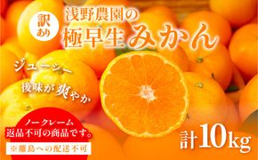 【先行予約】浅野農園の極早生みかん 訳あり計10kg ※着日指定不可 ※離島への配送不可（2026年10月上旬～11月中旬頃に順次発送）IKTAC001