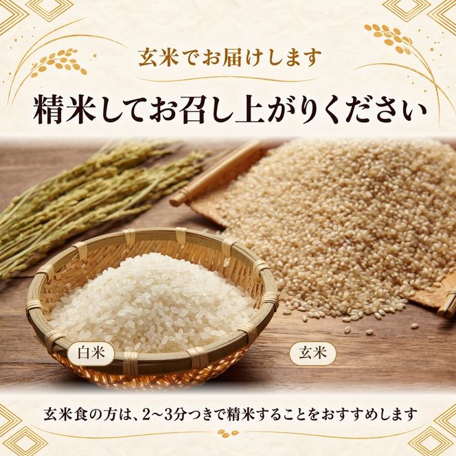 にじのきらめき 虹のきらめき 玄米 30kg 30キロ 令和8年 香川県産 国産 米 お米 国産米 香川県産米 大粒 もっちり 粘り おにぎり ご飯 ごはん はなまる農園 甘み 香川 香川県 東かがわ市 46312688