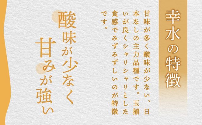 【先行予約】群馬県産梨「幸水」約3kg(10～12個)【8月中旬～8月下旬発送予定】ANAH004