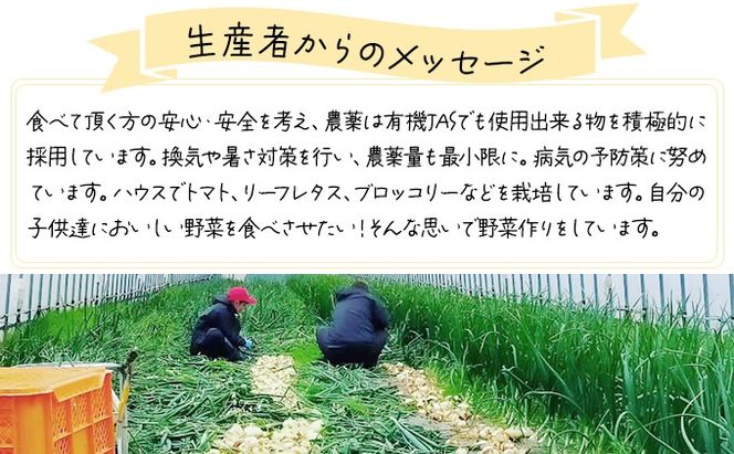 ykCɒBsz2026N7珇oׁ farm\ ʃg}gʂ˂Zbg 5kg [famy-003]