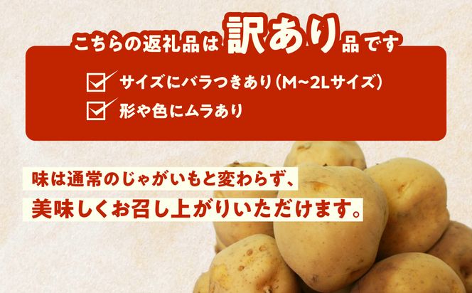 じゃがいも 福袋 2種類 20kg きたあかり 男爵いも メークイン とうや キタカムイ 北海道産 じゃがいも Mサイズ　2Lサイズ 訳あり 野菜 新鮮 国産 食品 お取り寄せ お取り寄せグルメ 北海道 函館市 送料無料_HD206-003