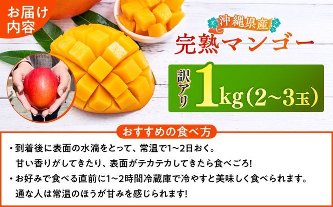 【優秀賞受賞】沖縄県産 完熟マンゴー 訳アリ 1kg (2〜3玉) マンゴー 沖縄 果物 フルーツ ギフト 沖縄市 / MAIFARM[BCAN003]
