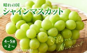 2026年 早期受付 ぶどう 晴れの国 シャインマスカット 2kg (4～5房) 化粧箱入り 岡山県 高梁市 ブドウ 葡萄 果物 フルーツ 