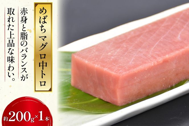 北かつのマグロ上質セット (マグロ中トロ 200g マグロ上質赤身 200g×2 メカジキ 200g びんちょう 200g）合計1kg [北かつ商事 宮城県 気仙沼市 20563511] 魚 鮪 マグロ トロ 中トロ まぐろ 赤身 刺身 魚介類 魚介 新鮮 高級 メカジキ メバチ めばち 冷凍 