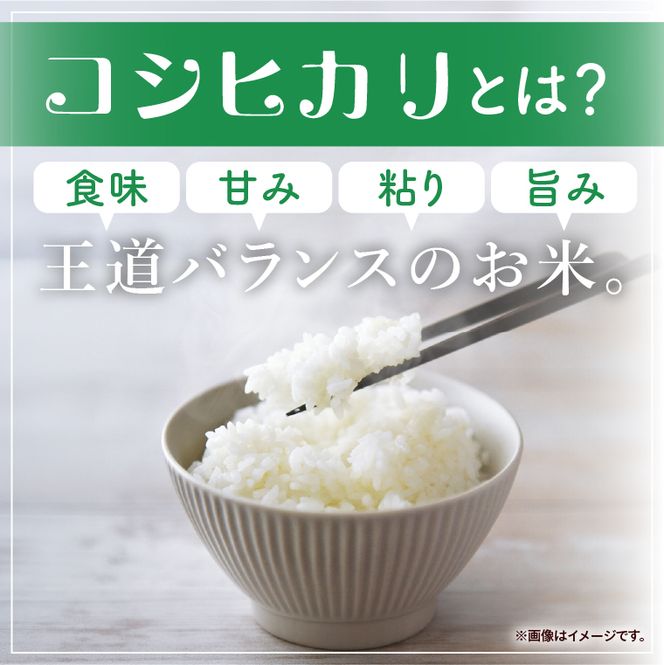 令和7年産 茨城県産 コシヒカリ5kg【お米 米 コメ こめ こしひかり精米 北茨城市 茨城県】(AL253)