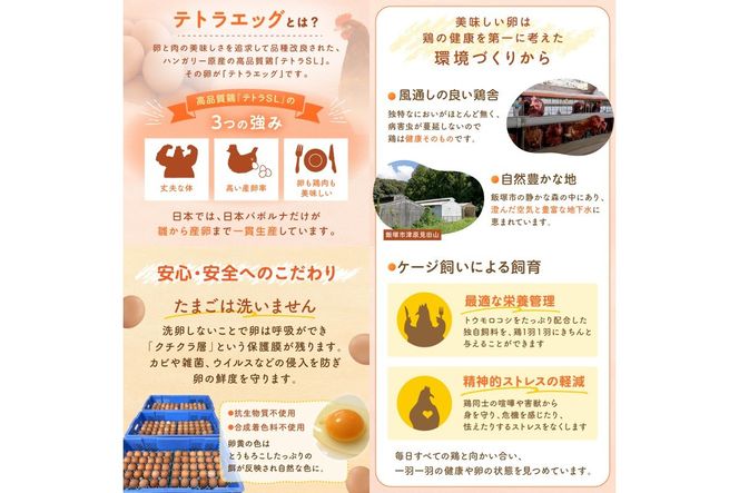 【B9-009】テトラエッグ特選卵『バボルナの宝石』（30個/月）【3カ月定期便】