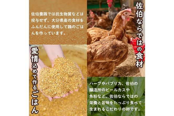 ＜定期便・全12回＞産直・平飼い有精卵 (総計360個・30個×12回(毎月発送)) 卵 玉子 卵かけご飯 玉子焼き 平飼い 鶏 鶏卵 養鶏場直送 朝採れ 新鮮 大分県 佐伯市 【HM05】【佐伯養鶏場】