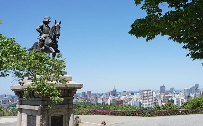 【仙台市】JTBふるさと旅行券（紙券）900,000円分【宮城県 仙台市 トラベル 宿泊 予約 人気 おすすめ】 041009_JDS03