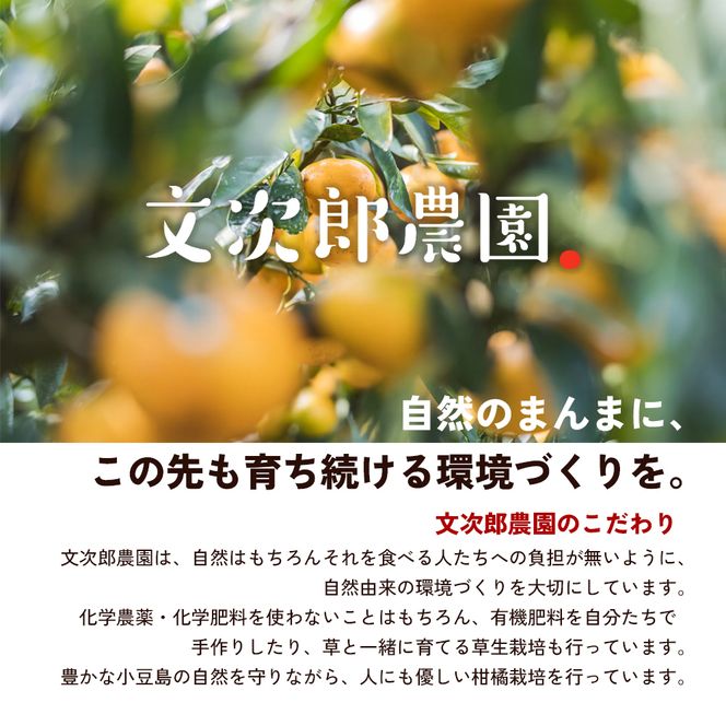 【 小豆島 】文次郎農園 温州みかん ジュース 2本セット 完熟 みかん 蜜柑 ミカン 柑橘 飲料 ドリンク 飲み物 瀬戸内 香川 香川県 土庄 土庄町