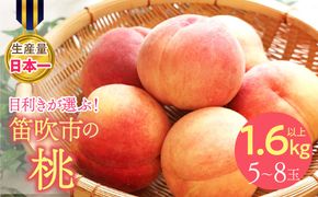【2026年発送★先行予約】果物王国　笛吹市産の桃　1.6kg以上　5～8玉 168-002-26y