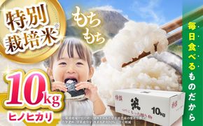 【特別栽培米】 ヒノヒカリ 10kg (5kg×2袋) / 米 精米 白米 ごはん ご飯 ひのひかり / 南島原市 / 農家民宿　いちご一会[SBN002]