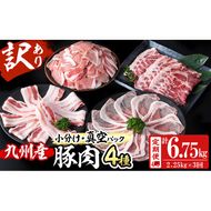 【定期便 全3回】【数量限定】小分け・真空パック!九州産豚肉4種セット(計6.75kg・2.25kg×3回) t0045-014