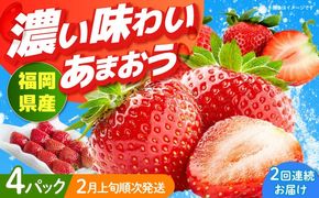 【全2回定期便】福岡産【春】 あまおう 4パック 《築上町》【南国フルーツ株式会社】果物 苺 いちご[ABET026]