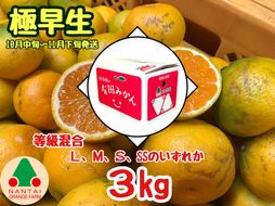 等級混合 極早生 有田 みかん L ～ SS サイズ 3kg 南泰園 和歌山 有田みかん 	BS590