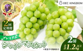 ぶどう 2026年 先行予約 2回 定期便 プレミアム シャインマスカット 2房(1.2kg以上)  贈答クラス ブドウ 葡萄 岡山県産 国産 フルーツ 果物 ギフト OEC KINGDOM ぶどう家 果物類