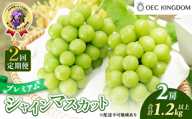 ぶどう 2026年 先行予約 2回 定期便 プレミアム シャインマスカット 2房(1.2kg以上)  贈答クラス ブドウ 葡萄 岡山県産 国産 フルーツ 果物 ギフト OEC KINGDOM ぶどう家 果物類