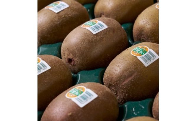 キウイ 甘うぃ あまうぃ 福岡限定 ブランド 約3kg箱 24～33玉 配送不可 離島 果物詰合せ フルーツ 