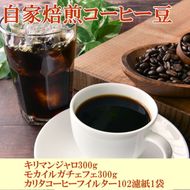 自家焙煎コーヒー豆（キリマンジャロ・モカイルガチェフェ）各300gとカリタ102コーヒーフイルター100枚セット