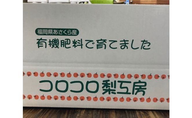 梨 新高梨 甘熟 味に自信あり！！約5kg 5～10玉入 配送不可 離島 ナシ 果物 フルーツ 先行予約 