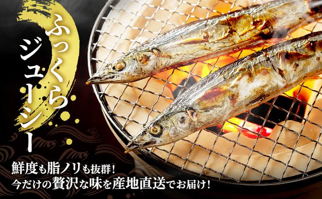 先行予約 産地直送 北海道 厚岸産 刺身用 鮮さんま 2kg（16～20尾） サンマ 秋刀魚 さんま 鮮魚 魚介類 海産 生さんま 