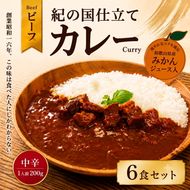 紀の国仕立て カレー （ビーフ） 6食 中辛 1人前200g (A1193-1) 