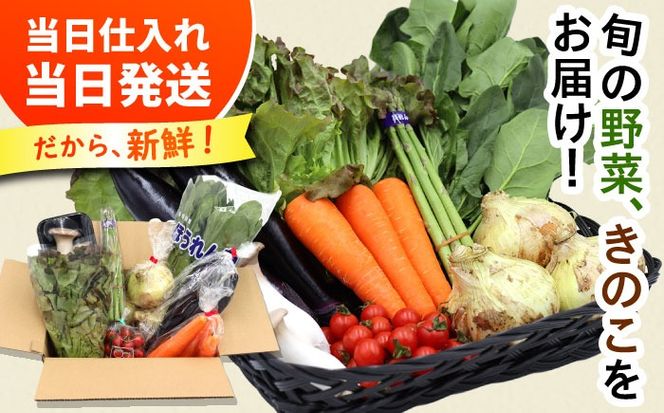 【6回定期便】お試し野菜セット 8品目 詰め合わせ / 野菜 やさい ヤサイ 旬 新鮮 / 南島原市 / 吉岡青果[SCZ029]