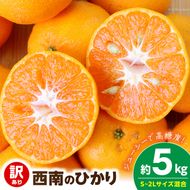 【2026年先行予約】《訳あり 家庭用》西南のひかり 約5kg（S～2Lサイズ混合）_EQ6008