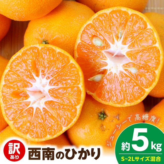 【2026年先行予約】《訳あり 家庭用》西南のひかり 約5kg（S～2Lサイズ混合）_EQ6008
