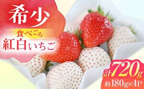 【希少】 朝摘み 愛知県産 いちご紅白セット 約180g×4パック いちご 白いちご ギフト 愛西市/くぼ苺農園[AECJ006]