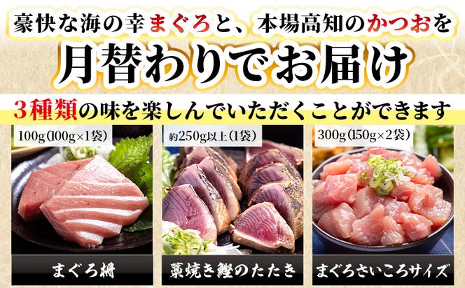 かつお マグロ 定期便【12回定期便】〈月替わり〉かつお・まぐろ お楽しみセット - 定期便 国産 海鮮丼 漬け丼 煮物 鮪 マグロ 鰹 カツオ タタキ Wnz-0123