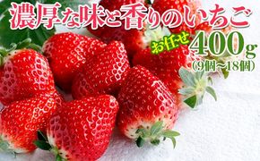 濃厚な味と香りのいちご お任せ400g（9個～18個）| 濃厚 香り とちおとめ いばらキッス やよい姫のいずれか デラックスパック 400g 朝摘み イチゴ いちご 苺 ストロベリー 果物フルーツ 茨城県 常総市 ※2025年11月中旬～2026年3月下旬頃に順次発送予定