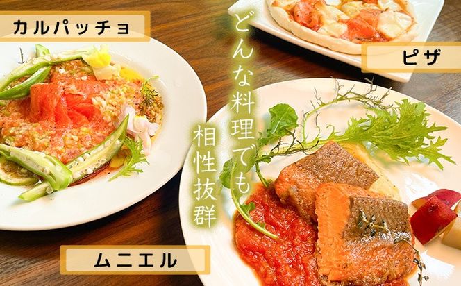 ★お中元★　氷室サーモン400g（200g×2個）