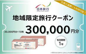 A111　山口市宿泊プランコーディネート券（300000円分）日本旅行 地域限定旅行クーポン