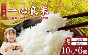 ＜全6回定期便＞ 真庭市産コシヒカリ 米ぬか 牡蠣栽培米 『 一心良米 』 無洗米 10kg (5kg×2袋）×6回 令和7年産 / お米 いっしんりょうまい 岡山県 こしひかり 人気 ブランド 2025年産 【tkns-tkb037-cho】