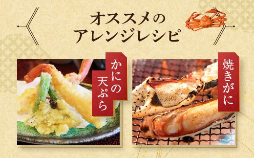 カット済 生本ずわい蟹 棒肉ポーション 500g ＜ 生食OK ＞ ＜ 殻剥き不要 ＞ ＜ 数量限定 > 生ずわいがに 本ずわいがに かに 蟹 ずわいがに ずわい蟹 生冷ずわい蟹 生ずわい ずわい 棒ポーション ポーション 棒肉 むき身 かにしゃぶ しゃぶしゃぶ かに鍋 鍋 かに刺し 刺身 生 生食 魚介 海鮮