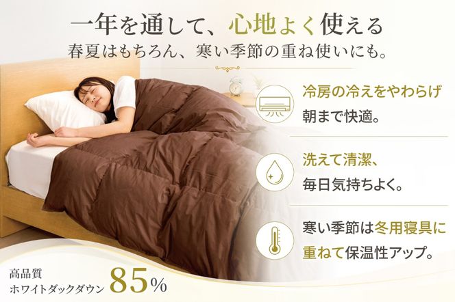 【春夏用】洗える羽毛布団 羽毛布団 セミダブル 肌掛け 肌掛け布団 ダウン 夏 春 ホワイトダックダウン 85% 0.4kg (無地 ブラウン) 羽毛 掛け布団 布団 ダウンケット ふとん 肌掛 寝具 日本製 春用 夏用 抗菌防臭 ダニプルーフ 花粉フリー 柔軟加工 コインランドリー [川村羽毛 山梨県 韮崎市 20743633]