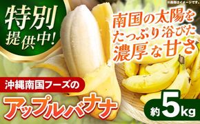 【特別提供中】 国産 希少種！南国フーズのアップルバナナ 約5kg - バナナ ばなな 小ぶり 沖縄県 産地直送 果物 フルーツ 南国 朝食 おすすめ 沖縄県 八重瀬町【価格改定】
