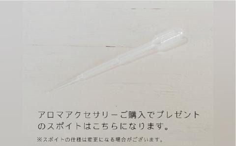 moon アロマ ネックレス pt850 （ プラチナ ） 《糸島》【タビノキセキ】[ADB014]