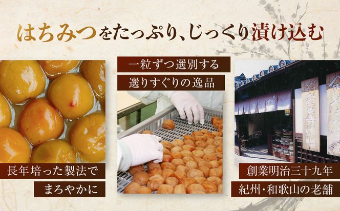 紀州南高梅 はちみつ極 塩分約6％ 850g ［YM10］ 303446_DX90013