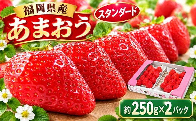 いちご 2027年2月下旬より発送 うるう農園のあまおう スタンダード2パック 約500g※配送不可：離島 果物 フルーツ デザート 食後 特別栽培 福岡県産 国産 日本産 