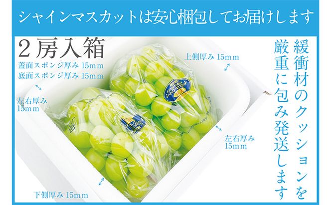 ぶどう 2026年 先行予約 シャイン マスカット 晴王 2房（合計約1.1kg） 晴れの国 おかやま 岡山県産 フルーツ王国 果物王国 