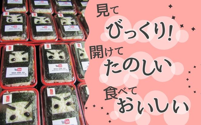 忍者ちらし（大・小）と田舎寿司4種詰合せ　合計17点セット sehr0004