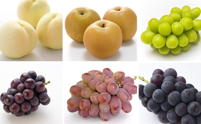 2026年 先行予約 フルーツ 晴れの国 岡山 の フルーツ 定期便 10回コース 岡山県産 桃 もも 葡萄 ぶどう 梨 なし 2025年 先行予約