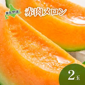 【2026年夏発送】 メロン 北海道 富良野メロン 赤肉2玉 北海道 ふらの めろん 果物 フルーツ 甘い ジューシー